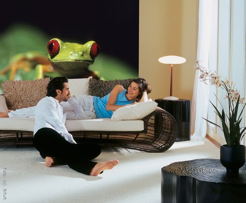 Muss die Prinzessin den Froschkönig küssen oder an die Wand werfen? Egal, sicherheitshalber hat Rasch die Froschtapete erfunden, damit das Überlegen der Tierchen gesichert ist. Muss die Prinzessin den Froschkönig küssen oder an die Wand werfen? Egal, sicherheitshalber hat Rasch die Froschtapete erfunden, damit das Überlegen der Tierchen gesichert ist.
